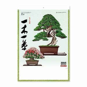 新日本カレンダー 2024年 カレンダー 壁掛け 一木一草 年表付 NK91