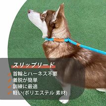 ドッグ スリップリード 犬用リーシュ、反射ロープリード、引っ張り防止リード、訓練用リーシュ 小型、中型、大型犬用 1.5m (M(9mm) グレ_画像5