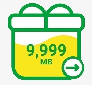 mineo パケットギフトコード 10GB（9999MB）