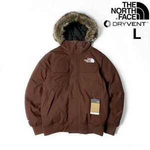 1円～!売切!【正規新品】THE NORTH FACE◆MCMURDO BOMBER JACKET マクマードボンバー ダウンジャケット US限定 新作 防寒(L)茶 190122-175