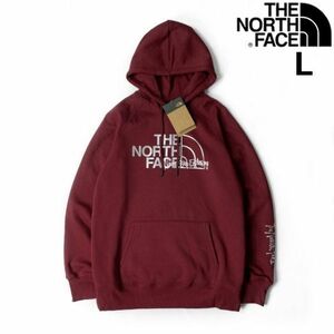 1円～!売切!【正規新品】THE NORTH FACE W GRAPHIC INJECTION HOODIE パーカー プルオーバー US限定 メタリックシルバー(L)赤 181130-23