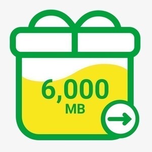 6GB mineo パケットギフト 6000MB★即決