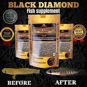 小分けBlack Diamond ブラックダイヤモンド 10g 1mm / 飾り鱗を増やす！ / メラニン色素増強 サプリメント/ JFEM ジェフェム