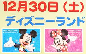 ★12月30日（土） 東京ディズニーランド・１dayパスポート・ペアチケット