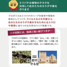 プロポリス300 詰替用(100球) 5袋 山田養蜂場【新品未開封】_画像2