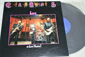 12(LP) CAROL Live in Live Young 帯なし日本盤　概ね美品