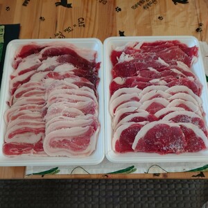 兵庫県産天然猪肉　令和5年12月中旬捕獲　50キロ級の猪オス　　スライスミックス　ジビエ料理　ボタン鍋 イノシシ肉 猪肉 天然 焼肉 ⑧