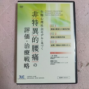 生物心理社会モデルに基づく非特異的腰痛の評価・治療戦略【DVD3枚組】ME300-S