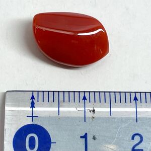 ［天然血赤本珊瑚 8.123ct］d 1.7g 約16.0×10.5mmルース 裸石 宝石 ジュエリー jewelry coral 赤 コーラル サンゴ さんご オーバル 