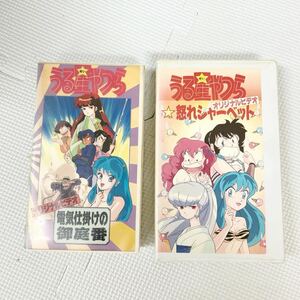 VHS ビデオテープ うる星やつら 2作品 まとめて 「電気仕掛けの御庭番」「怒れシャーベット」