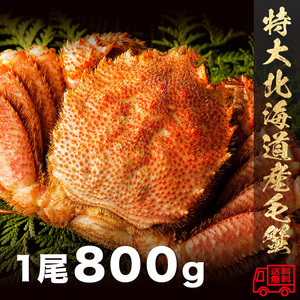 1円スタート!! 同梱でお得!! 北海道産特大毛蟹800g×1杯 ボイル 身入りたっぷり 蟹味噌たっぷり タラバガニ ズワイガニ