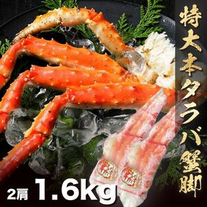 うまい!!でかい!!本タラバガニ脚2肩で1.6kg 身入りパンパン!! 大ボリューム!! パーティ お歳暮 ギフト ズワイガニ 毛蟹 たらば 蟹しゃぶ(0)