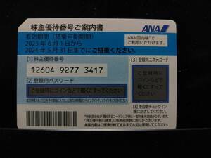 ★即日通知★ANA株主優待券　2024年5月31日期限　4枚セット