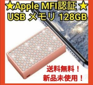 Apple MFI認証 USBメモリ iPad MacBook PC 128GB