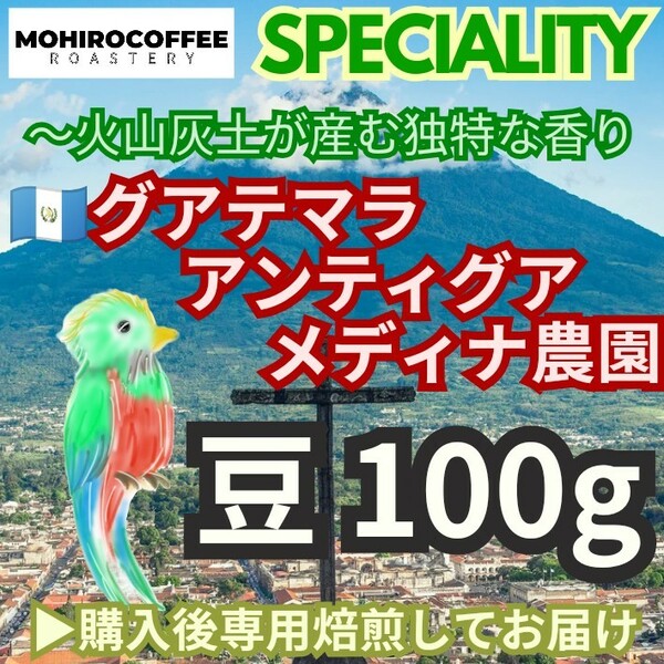 【豆のまま発送】 グアテマラ アンティグア メディナ農園 100g コーヒー 珈琲 自家焙煎 コーヒー豆 グァテマラ ガテマラ