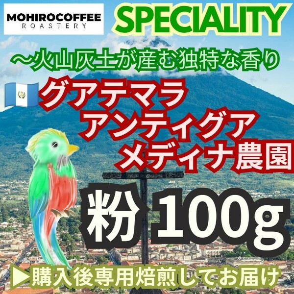 【粉】 グアテマラ アンティグア メディナ農園 100g コーヒー 珈琲 自家焙煎 コーヒー豆 グァテマラ ガテマラ