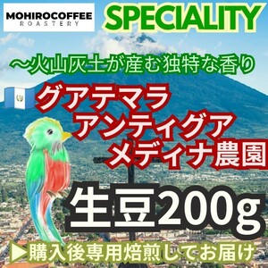 【生豆】 グアテマラ アンティグア メディナ農園 200g コーヒー 珈琲 自家焙煎 コーヒー豆 グァテマラ ガテマラ