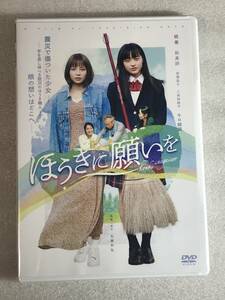 ●即決DVD新品● ほうきに願いを 桃果 , 和泉詩 , 五藤利弘 ☆管理-A561箱