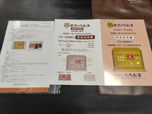 送料無料 電位治療器 パワーヘルス PH-10000A シリーズ上位機 電圧2段階設定 電床シート 未使用ビニル絶縁シート 安心取説付 即利用可_画像8