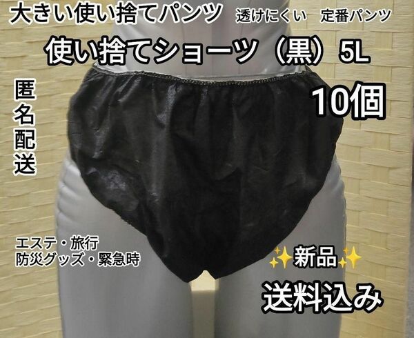 【匿名発送】大きめペーパーショーツ　5L　10個　エステ・旅行・介護・防災グッズ