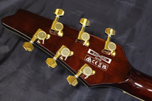 【新品・限定モデル】Ibanez(アイバニーズ) / Iceman IC420FMGB VLS(ヴァイオリンサンバースト) エレキギター ※送料無料(一部地域は除く)_画像5