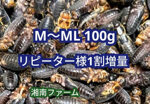 M～ML 100g冷凍 コオロギ 脚部除去済 ★リピーター様1割増量 冷凍保存用チャック袋入り★送料無料★