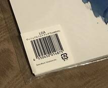 LiSA リサ　LiVE is Smile Always Eve & Birth ヴィジュアルフォトブック　検索：パンフ 写真集 ツアーパンフ 鬼滅の刃 グッズCD DVD_画像3