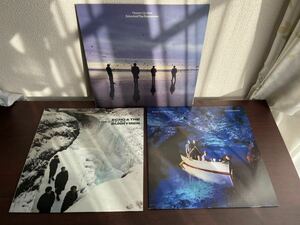 LP レコード ECHO and The BUNNYMEN Rock / New Wave KOROVA 3点セットです。