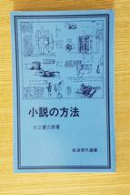 小説の方法　大江健三郎/著　岩波現代選書　初版本　カバー付き_画像1