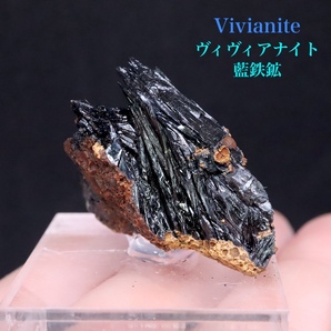 【送料無料】ヴィヴィアナイト 藍鉄鉱 ウクライナ産 原石 VVN001 鉱物　原石　天然石　パワーストーン