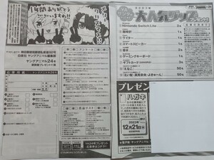 えなこ　チェキ・図書カード応募用紙　ヤングアニマル no.24