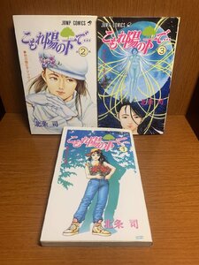 こもれ陽の下で… 1～3巻　北条司