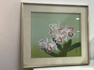 Art hand Auction ★[Garantizado como genuino por un artista japonés que aparece en el Anuario de Arte] Phalaenopsis No. 10 de Morishima Yoshio (estudiado con Itakura Seiko, Seleccionado para la exposición Inten, miembro del Seikokai) Marco: Ancho 70 x Alto 62, 5 x Grosor 4cm ★ Artículo con algunos defectos, Cuadro, pintura japonesa, Flores y pájaros, Fauna silvestre