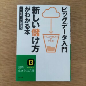 ビッグデータ入門　新しい儲け方がわかる本