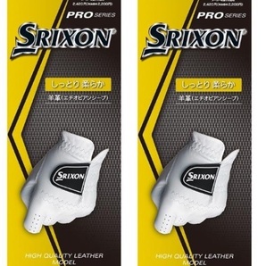 ダンロップ SRIXON スリクソン グローブ PRO SERIES【羊革】 GGG-S027 2枚セット 23cmの画像1