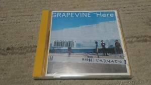 ●CD　グレイプバイン　Here 　帯付き