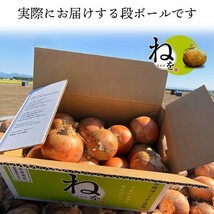 高級玉ねぎ 5kg 北海道産 新篠津 特別栽培 高級たまねぎ「ねを NEO」_画像5