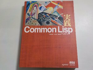 K5290◆実践 Common Lisp Peter Seibel 佐野匡俊 水丸淳 園城雅之 金子祐介 オーム社(ク）