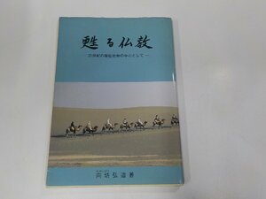 24V0413◆甦る仏教 21世紀の福音社会の中心として 向坊弘道 グリーン・ライフ研究所☆