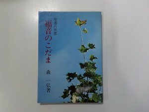 17V1891◆福音のこだま 聖書の黙想 森一弘 女子パウロ会☆