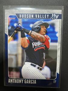 NPB 来日外国人 アンソニー・ガルシア　西武　ライオンズ　トレーディングカード　2023 Hudson Valley Renegades Anthony Garcia マイナー