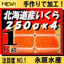 2023年新物!天然秋鮭イクラ北海道十勝産いくら醤油漬け1kg(250gx4)永原水産★冷凍送料10kgまで北海道850円+税 青森～九州1,450円+税(数量8)_画像1