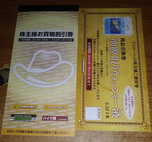 送料無料 イエローハット 株主優待券 3,000円分 (300円x10枚) (2024年12月31日まで有効) + ウォッシャー券付き