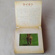 仕掛け絵本 しかけ絵本 動く絵本 大日本絵画 サファリ こども キッズ 動物 動物園 おもちゃ アニマル 中古 古本 送料無料 M12_画像6