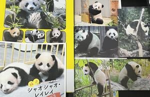 シャンシャン 上野動物園 シャオシャオ レイレイ トントン ユウユウ パンダ ポストカード DVD セット