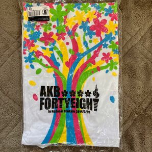 AKB48Tシャツ Lサイズ 春コンin国立競技場限定Tシャツ 