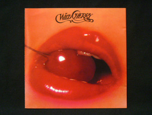 WILD CHERRY(ワイルド チェリー) ※1976年 1st. アルバム「プレイ ザット ファンキー ミュージック」収録