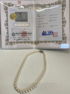 ●本真珠ネックレスSILVER 7.5-7.0mm 宝石鑑別保証書付属 パール 真珠 