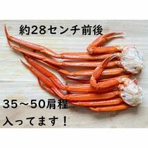 【訳あり！大特価！】　北海道産　紅ずわい肩　約36～50肩（5㎏）入れ　Sサイズ　ズワイ蟹　ずわい　コロナ応援　冷凍　ずわいがに　ずわい_画像3