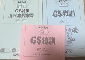 サピックス 6年生　GS 特訓　入試実戦実習　理科　国語　社会